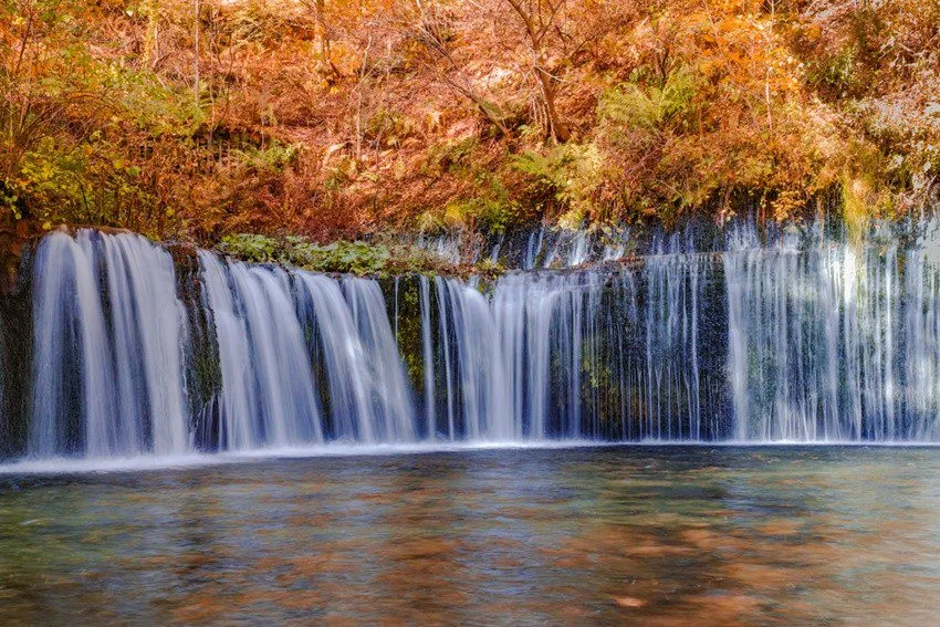 Shiraito Falls cascading over a moss-covered cliff surrounded by vibrant autumn foliage in Japan.