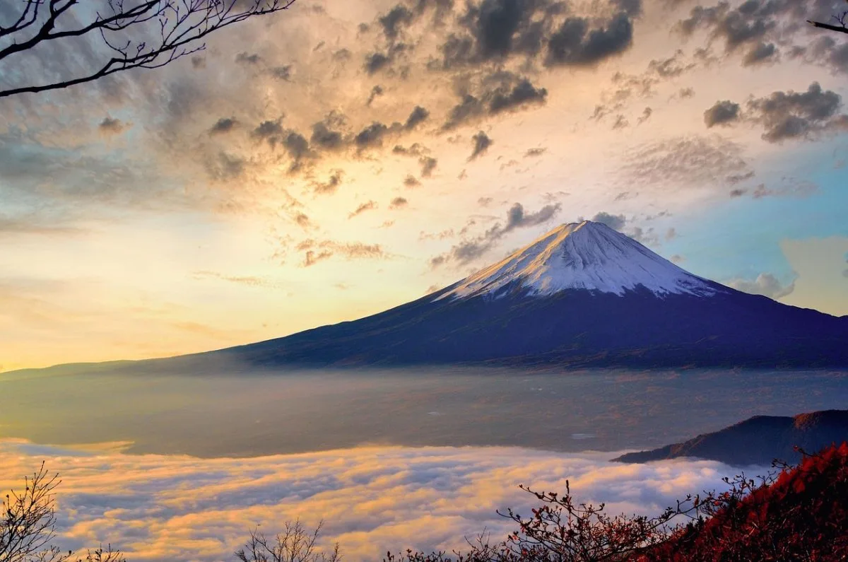 View from above a sea of clouds looking towards Mount Fuji, its snowy peak catching the warm light of sunrise or sunset, with silhouetted branches framing the scene.